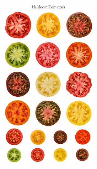 Heirloom Tomatoes