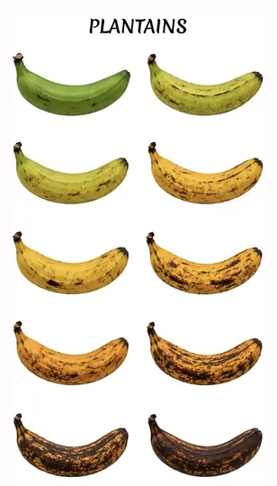 Plantains