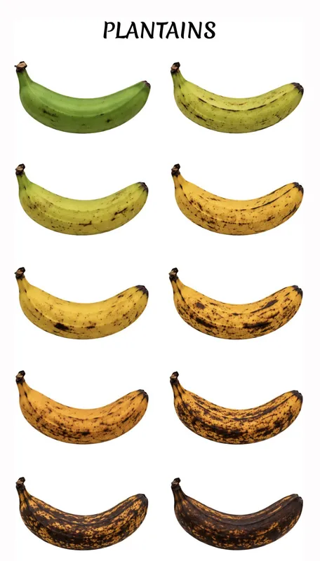 Plantains