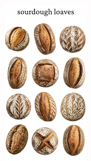 Sourdough Loaves