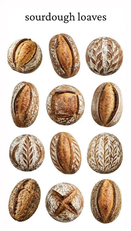 Sourdough Loaves