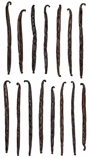 Vanilla Beans