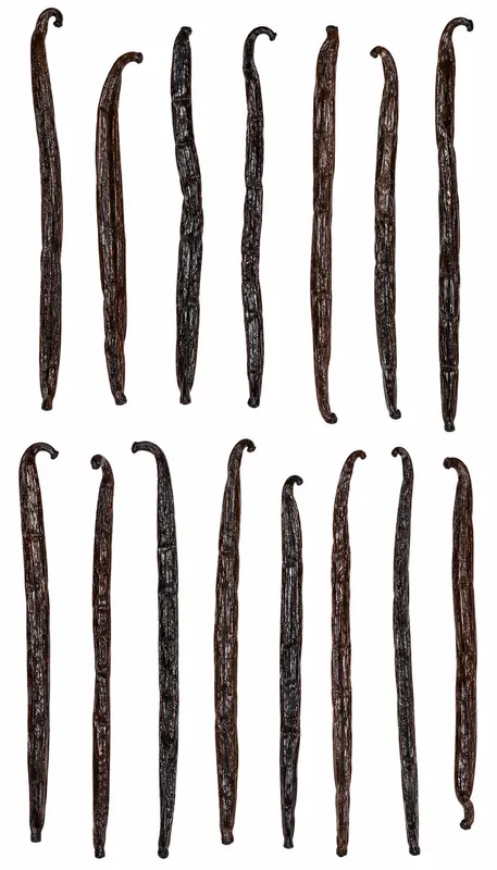 Vanilla Beans